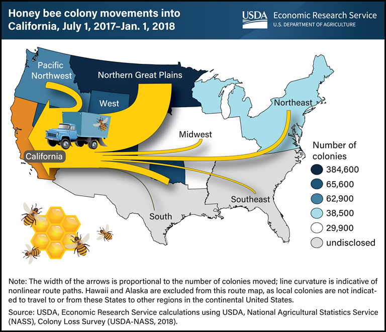 DYK that thousands of commercial honey bee colonies are transported long distances to pollinate California almonds? Celebrate World Bee Day and learn more in this Chart of Note: ers.usda.gov/data-products/….