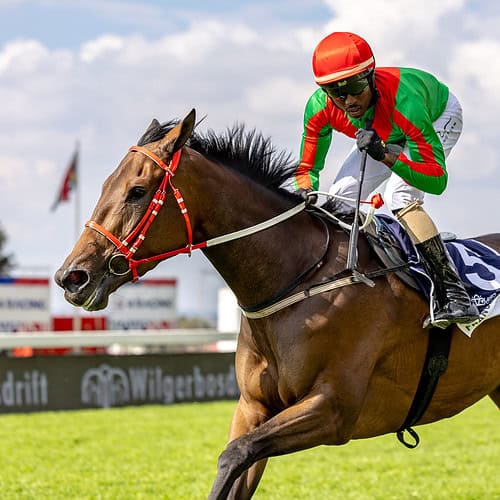 Frances Ethel headlines the Grade 1 Woolavington 2000 at Greyville on Saturday. The final field for the event has the 3 yo SA Oaks star against 10 others including older Fillies over the 2000m. The Team Valor filly is the highest rated horse and is listed as the 7/2 favourite.