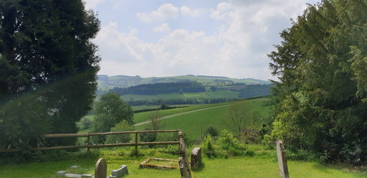 chrisjay tweet media