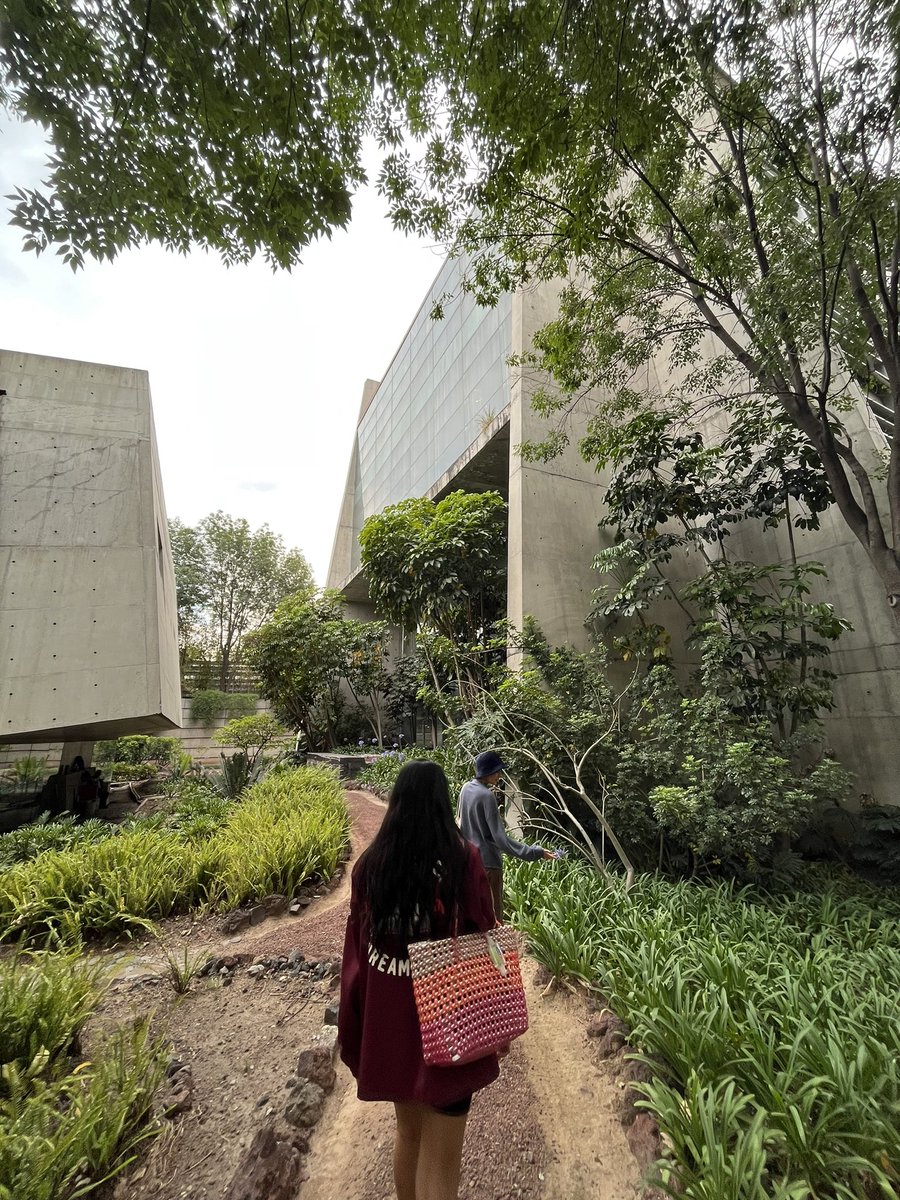 I’ll raise you one more! Biblioteca Vasconcelos in Mexico City - so crazy it gave me vertigo lol. They also have a beautiful garden that weaves in and around the property.