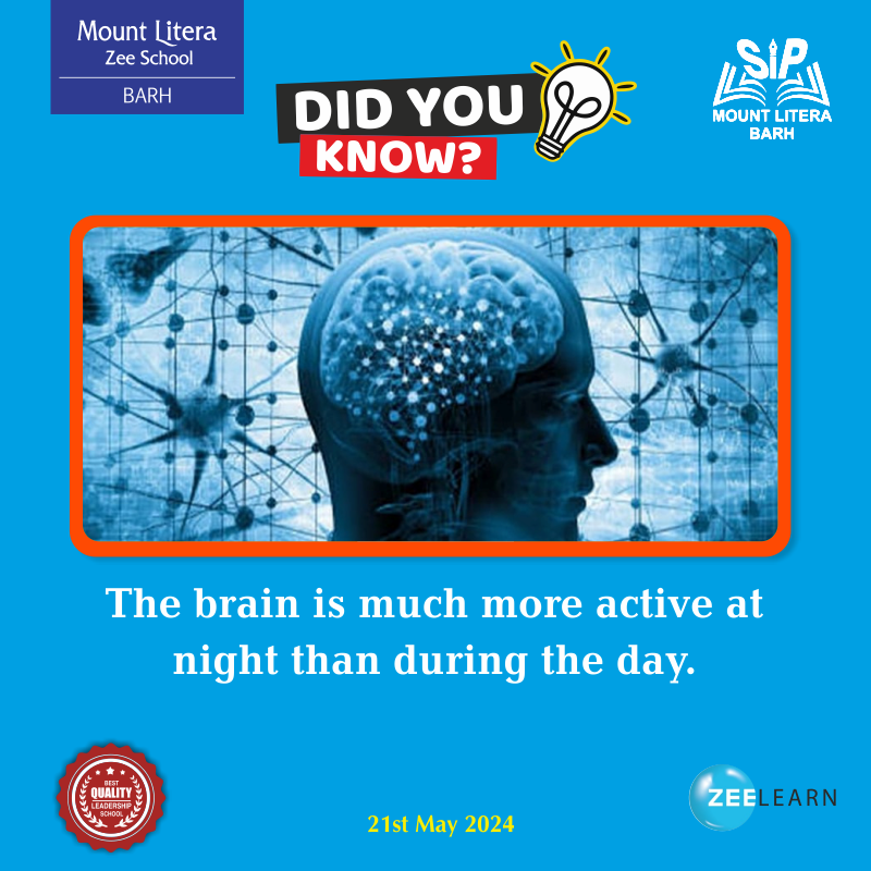 Did you know? The brain is much more active at night than during the day. ☎️ 𝐂𝐚𝐥𝐥 𝐟𝐨𝐫 𝐦𝐨𝐫𝐞 𝐝𝐞𝐭𝐚𝐢𝐥: 7033338888 | 7033339999 🌐 Visit: mountliterabarh.com #mountliterazeeschoolbarh #bestschoolbarh #mlzs #CBSESchool #qulityschoolbarh #cbsebarh