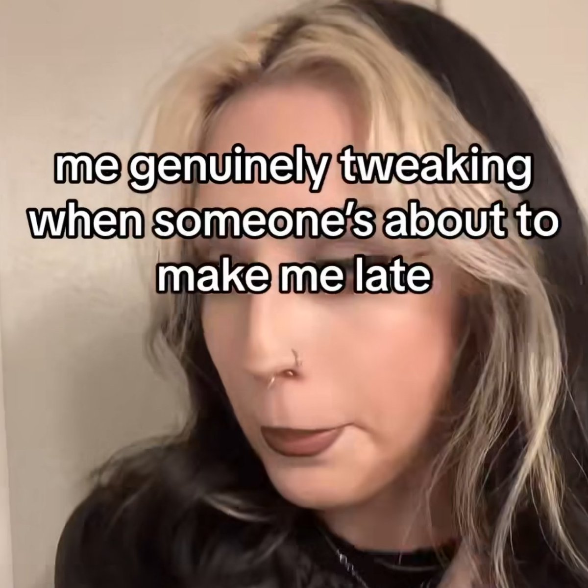 Wild TikToks (@wildtiktokss) on Twitter photo 