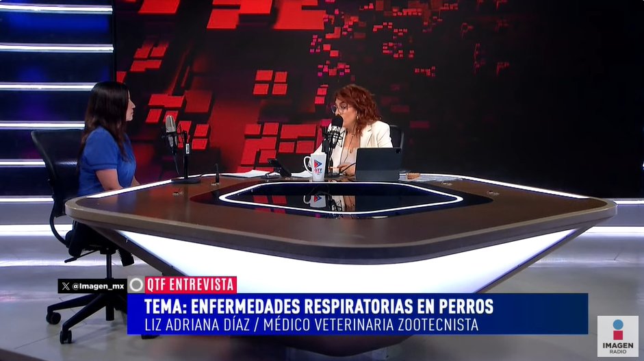 qtf's tweet photo. La médica veterinaria zootecnista, Liz Adriana Díaz, nos hablará de enfermedades respiratorias en perros. ¡No te lo pierdas!
#AlAireQTF https://t.co/I2UjKmRT2r