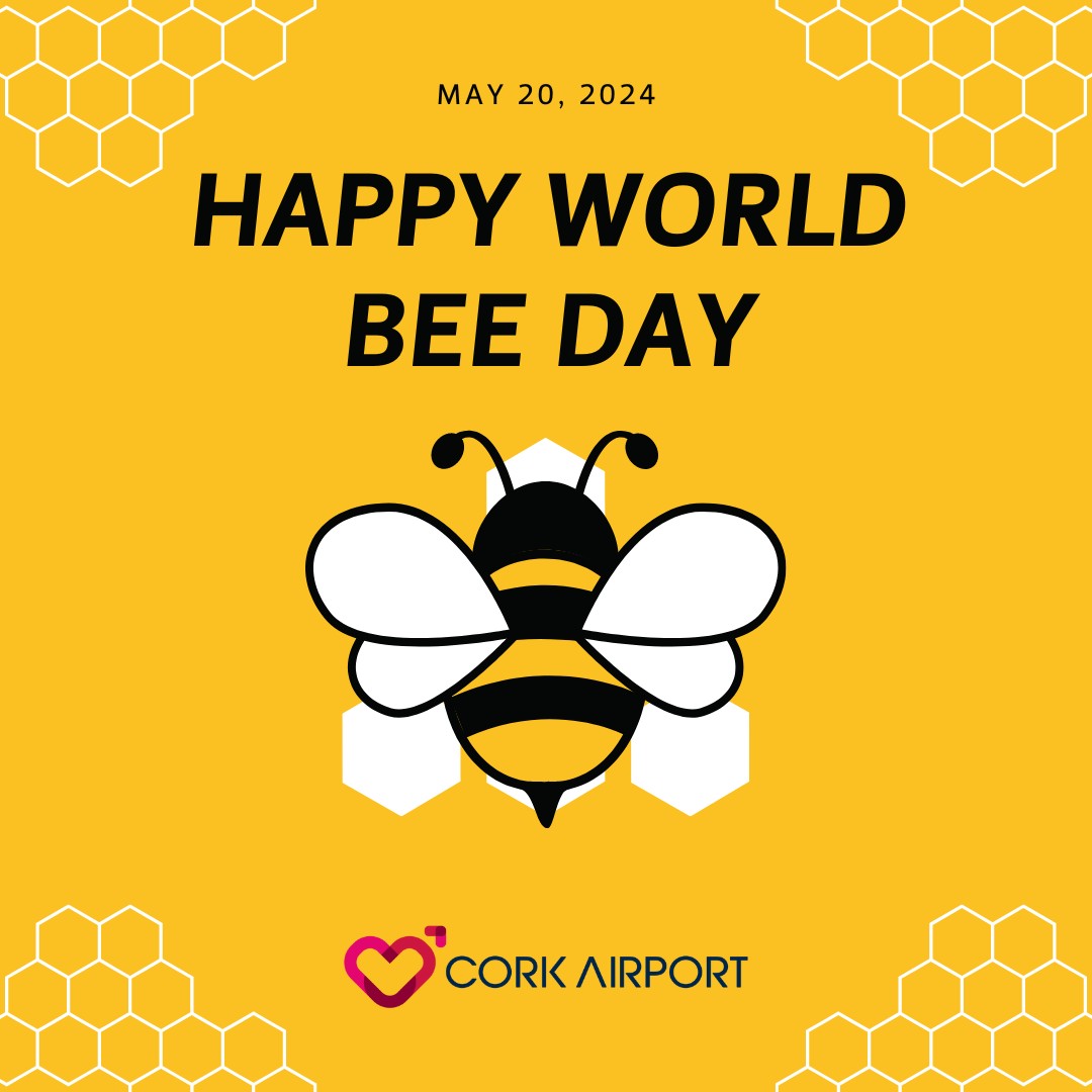 🐝 Happy World Bee Day! 🌼 Bees play a crucial role in our ecosystem and in the production of food. Here at @CorkAirport, we're dedicated to protecting the health and habitats of these very important insects! Here's how we're making a difference: 🌸 Focus on