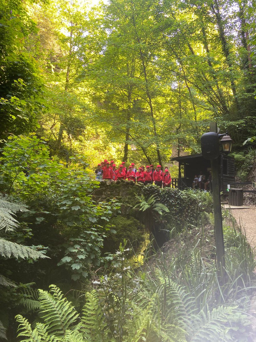 Year 6 have enjoyed Shanklin Chine today! ☀️ #blackmoreresidential2024