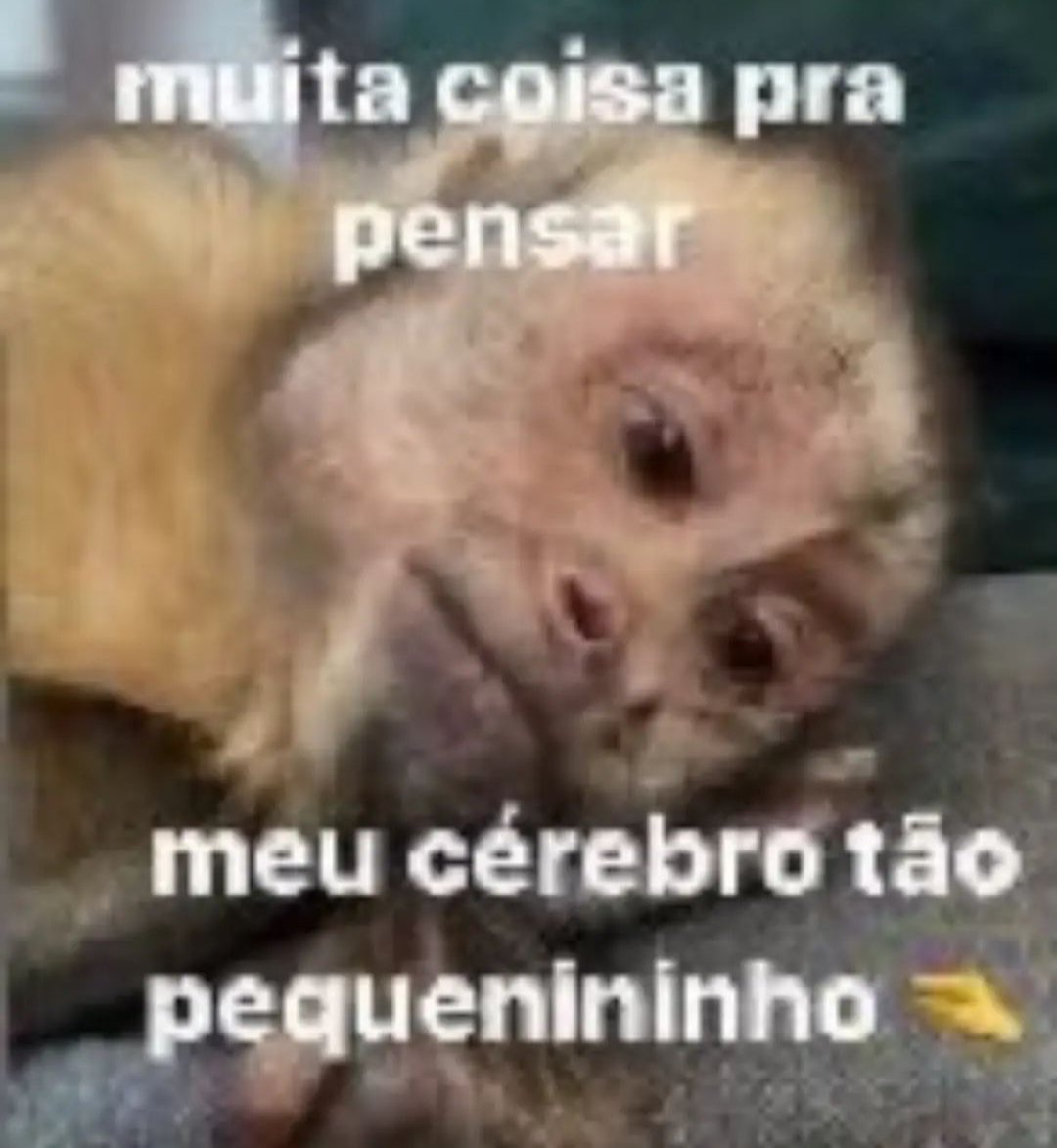 Quando o gaúcho da criminologia começa a falar de semiótica fico assim ó: