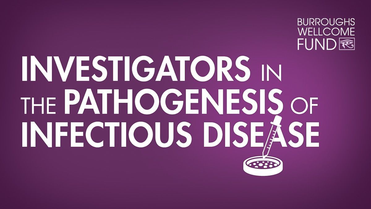 Announcing the 2024 Burroughs Wellcome Fund Investigators in the Pathogenesis of Infectious Disease buff.ly/4bHHdBR #bwfpath