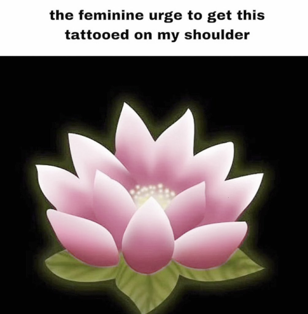 𓈒 ࣪ ˖ (@heartzjpg) on Twitter photo 