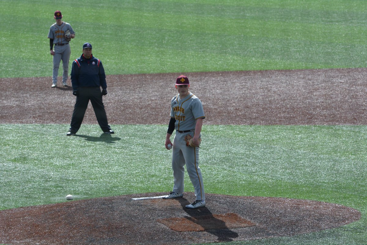 Walsh Jesuit Baseball tweet media