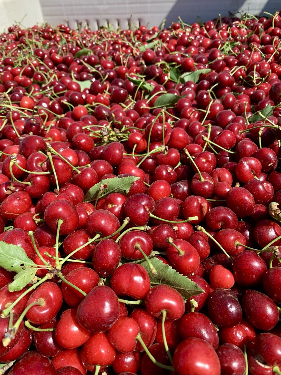 Dale Yurong tweet media