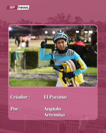 Revista Palermo tweet media