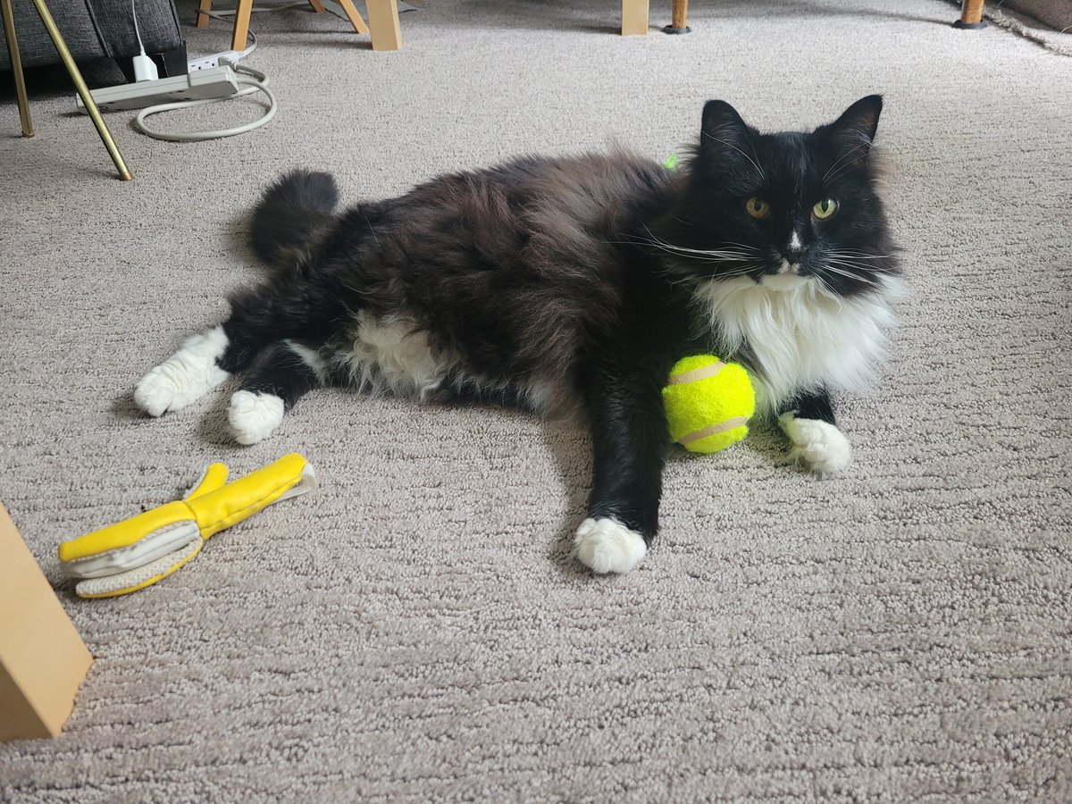 Quick round of tennis with a banana snack just in case with Jenga @SAFEteamrescue alumi