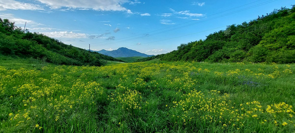 Tsaghkavan is meaning a flower-town, indeed #NerkinTsaghkavan, #Tavush, #Armenia