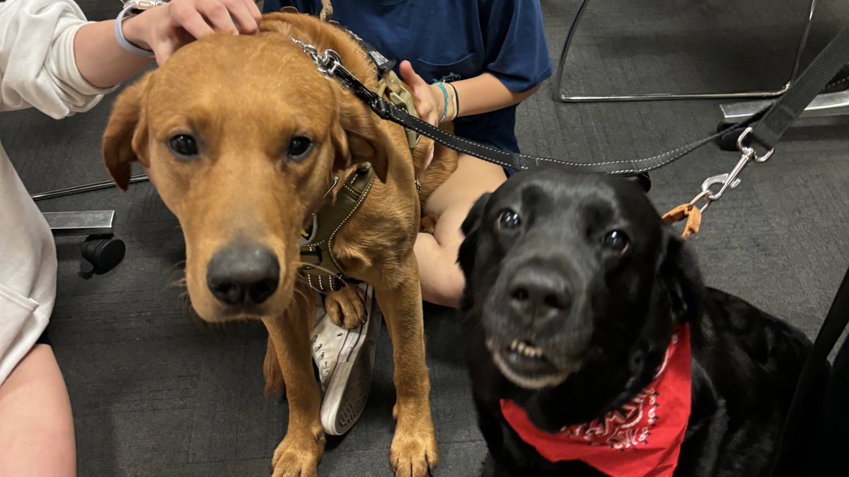 Thanks to my buddies Elwood <a href="/LibertyvilleVOL/">Village of Libertyville</a> and Billie from <a href="/VernonHillsPD/">Vernon Hills Police Department</a> for joining me for the <a href="/D128Union/">D128Union</a> Study night at <a href="/CookLibrary/">Cook Memorial Public Library District</a>!  These Cougars and Wildcats are ready to Rock!  💪💪💪