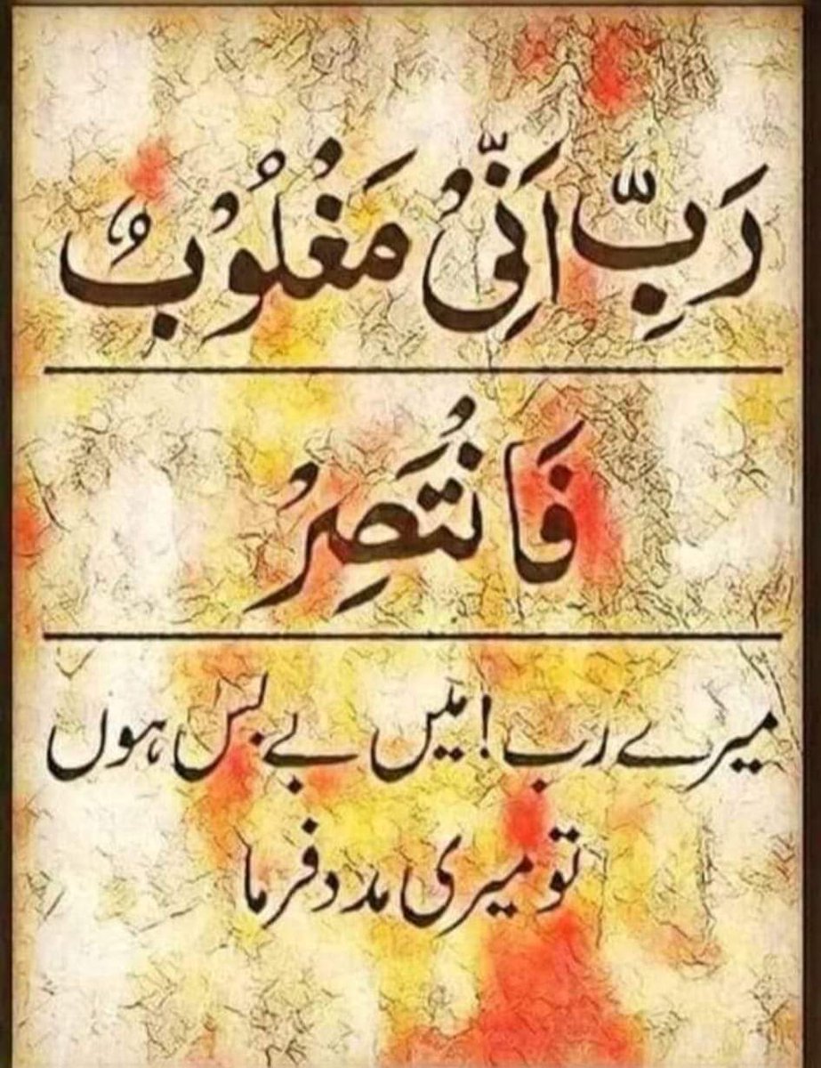 Nazi Malik tweet media