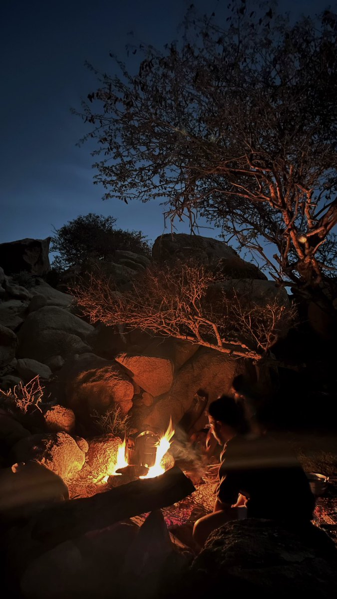 GL_7B's tweet image. Life begins at night .