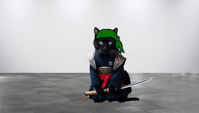 NoRugPromotion's tweet image. You need to come check out $KOWI CTO THEY WORKING REAL HARD $KOWI $SOL