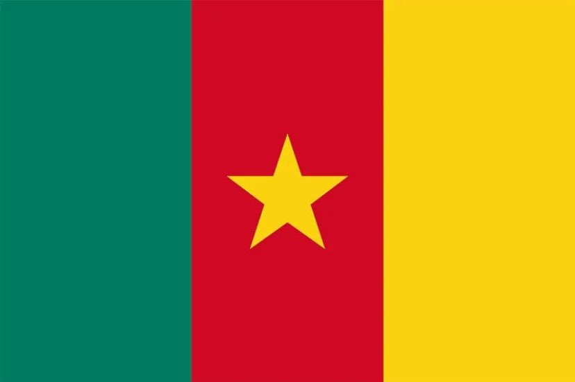 AgborChelsea's tweet photo. the flag the face! https://t.co/Mi4fMavnlE