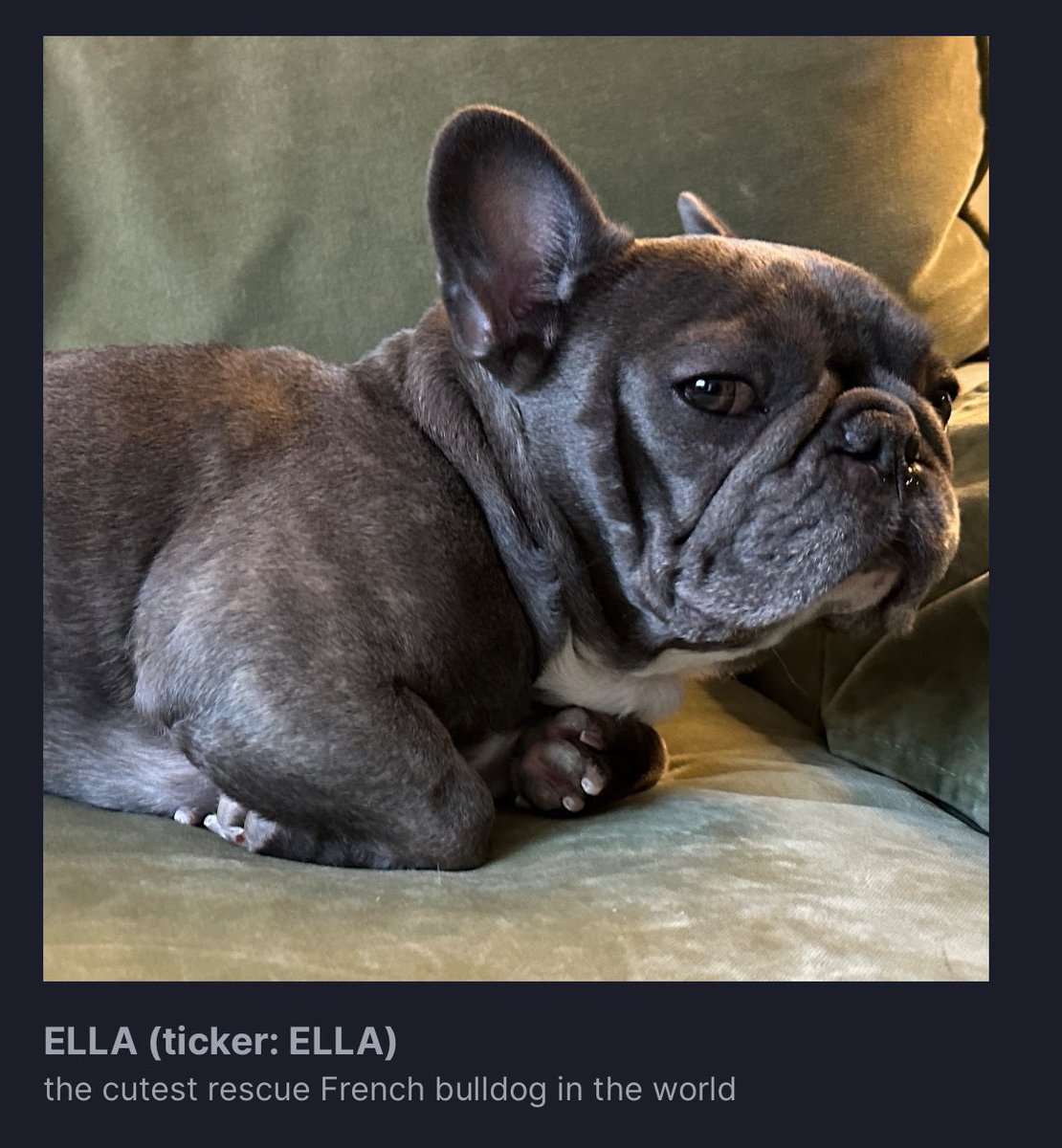35 days ago I started a pump.fun coin named $ELLA and didn’t tell anybody about it

It’s based on my French bulldog rescue Ella 🐶

I have a feeling that the French bulldog narrative is next 👀

Ca 

CwAv4c66b3K2BCPibTFjGF1YymgUadNsp6TgKJsm7Qd1