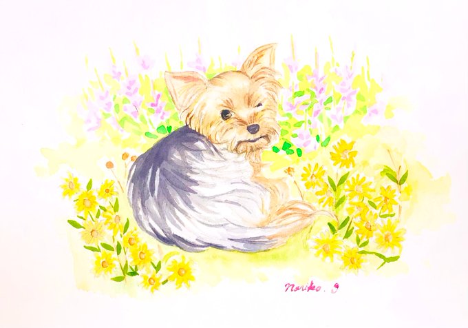 「犬 寝そべり」のTwitter画像/イラスト(新着)