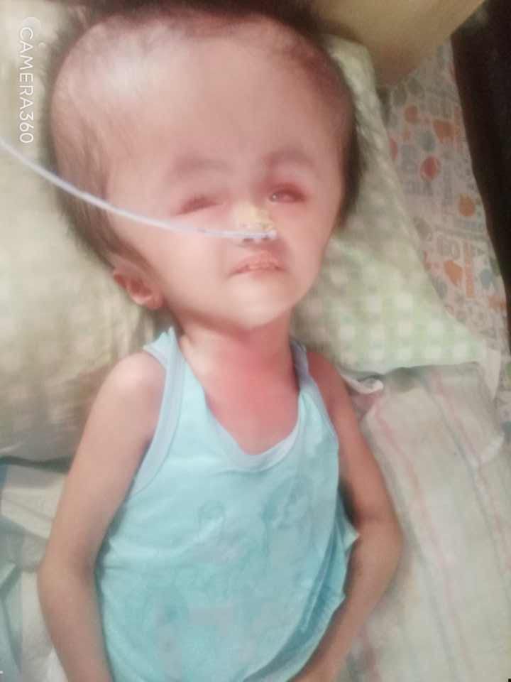 PlushiesForHope's tweet photo. Looking for sponsor po for Hydro Warrior Princess

Needs: Solar Fan and Blender

Madalas po magbrown out sa kanila sa Mindoro. Nagtitrigger po seizure nya dahil sa init. 🥹

Open for cash or in kind donation (Lazada or shopee) 

DM for questions po https://t.co/vph7yeocqU