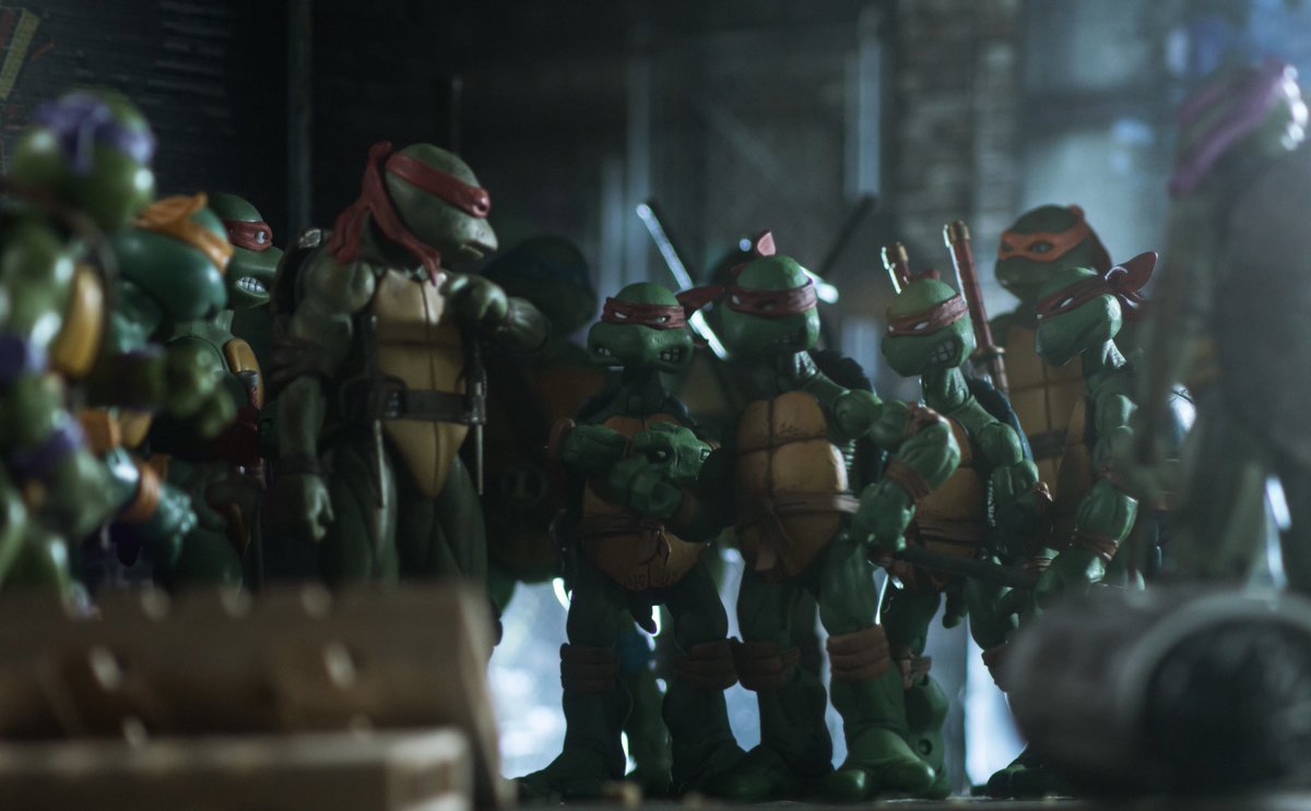 So you’re supposed to be us from different worlds….I don’t see it.

#tmnt #toyphotography #neca