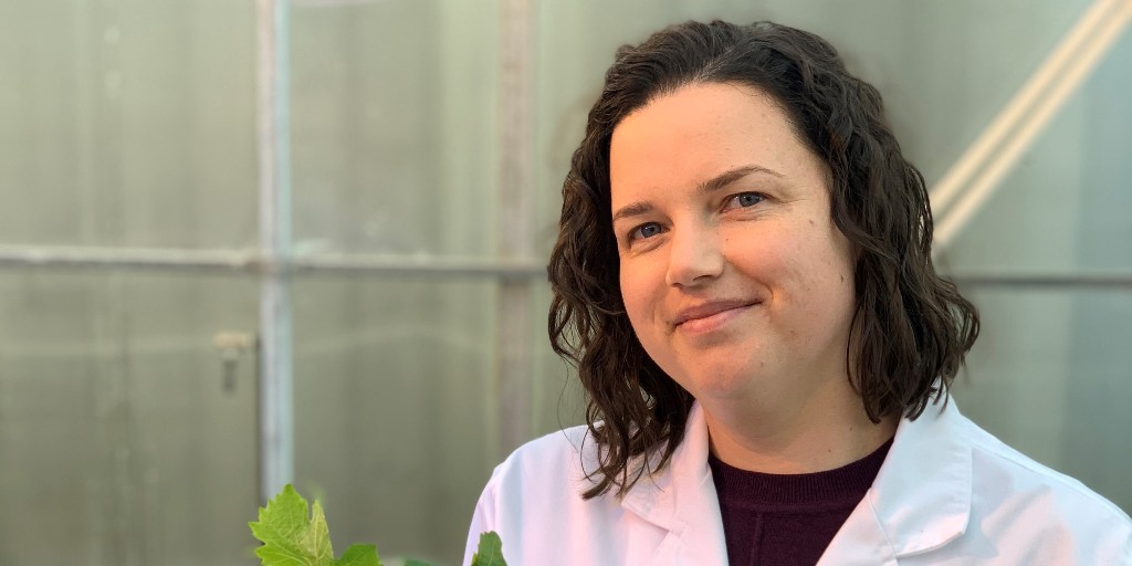 Ever wondered about the impact humidity has on wine quality? 🍷🍇🤔
TIA Research Fellow Dr Tory Clarke hopes to provide some answers. Her project is one of three TIA projects that have received funding from the JM Roberts Charitable Trust.
#TasInAg  #WineResearch #WineQuality