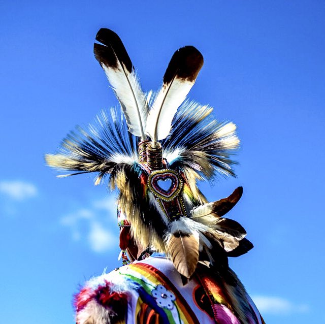 A very great vision is needed, and the man who has it must follow it as the eagle seeks the deepest blue of the sky.” ~ Crazy Horse, Tašúŋke Witkó, Oglala/Miniconjou Lakota, (1840-1877)