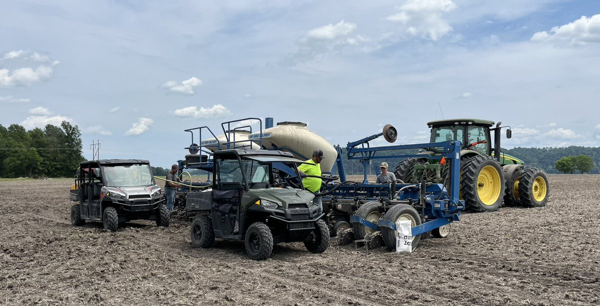 Sarah Dintelmann Wagner tweet media