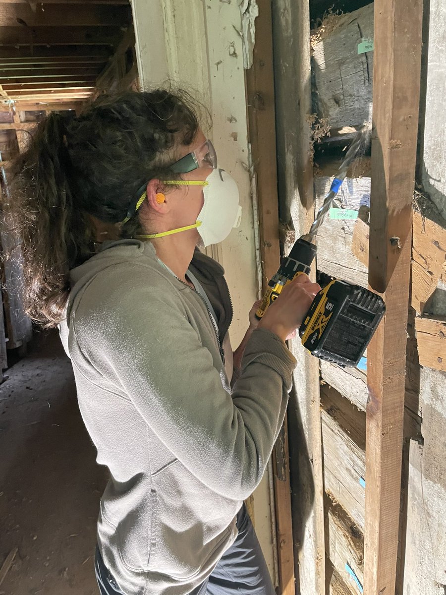 Dr. Maegen Rochner tweet media