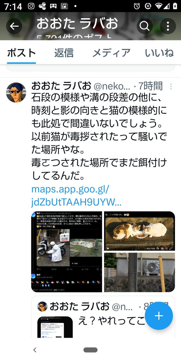 下の写真は一昨年、繁殖や猫の不審死等で地域の改善をと区の衛生課より正式依頼された地域。活動、努力により状況は劇的に改善。
(🚨によるパトロール、不妊手術、保護、譲渡、防犯カメラ設置、回覧、掲示板等による住民の見守り)
その後、片山チームの嫌がらせが始まるまでは全頭の無事を毎日確認。↓