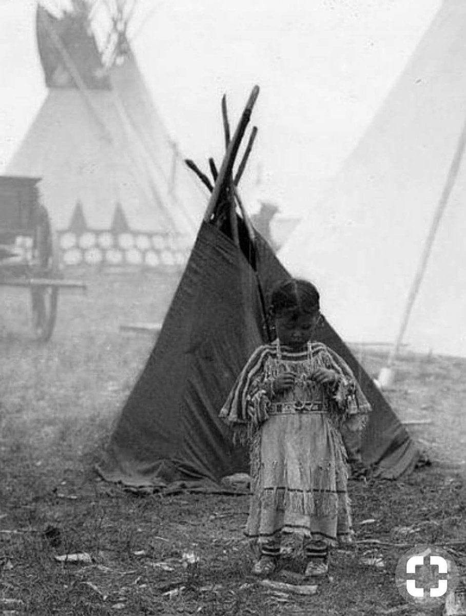 Lakota Man tweet media