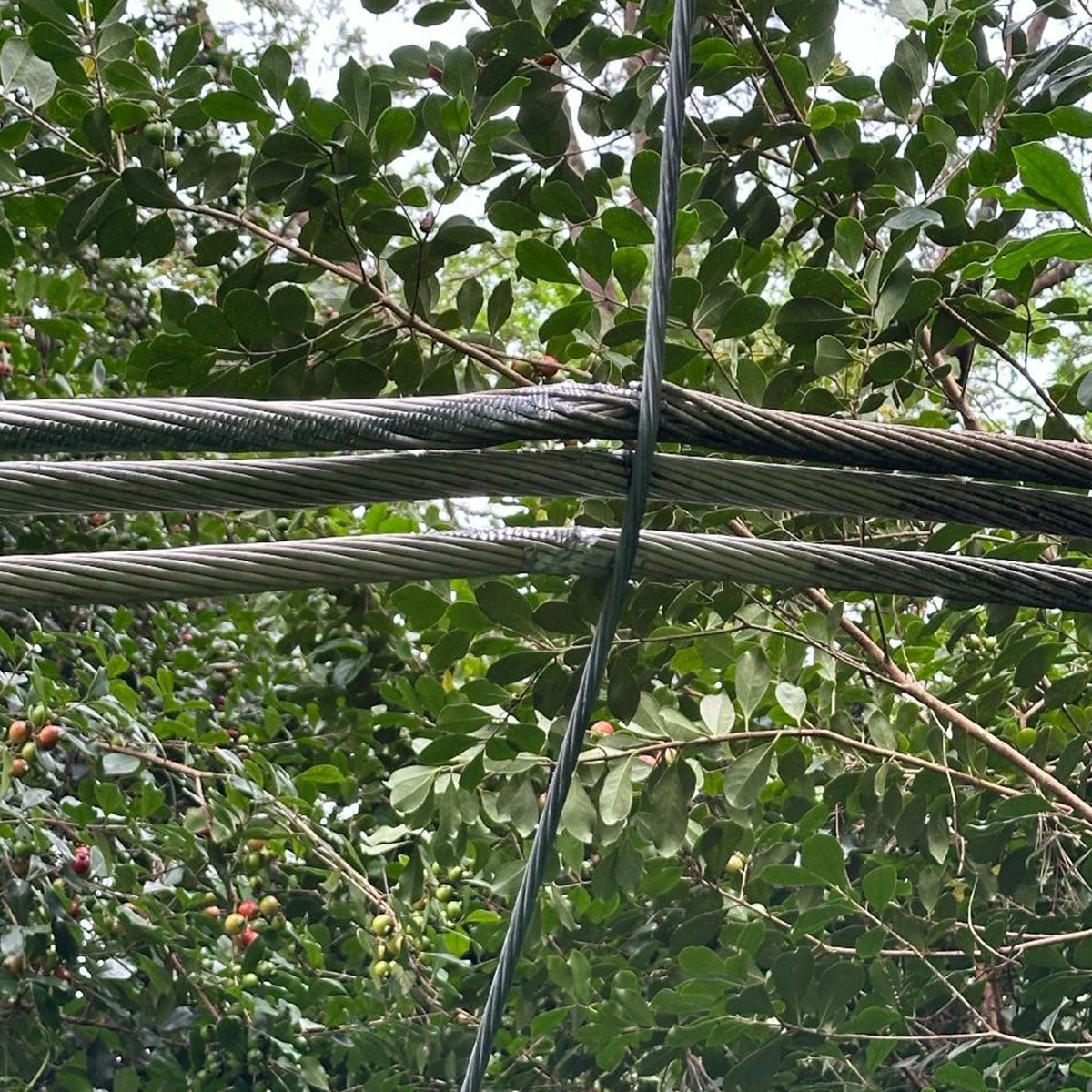 Hawaiian Electric tweet media