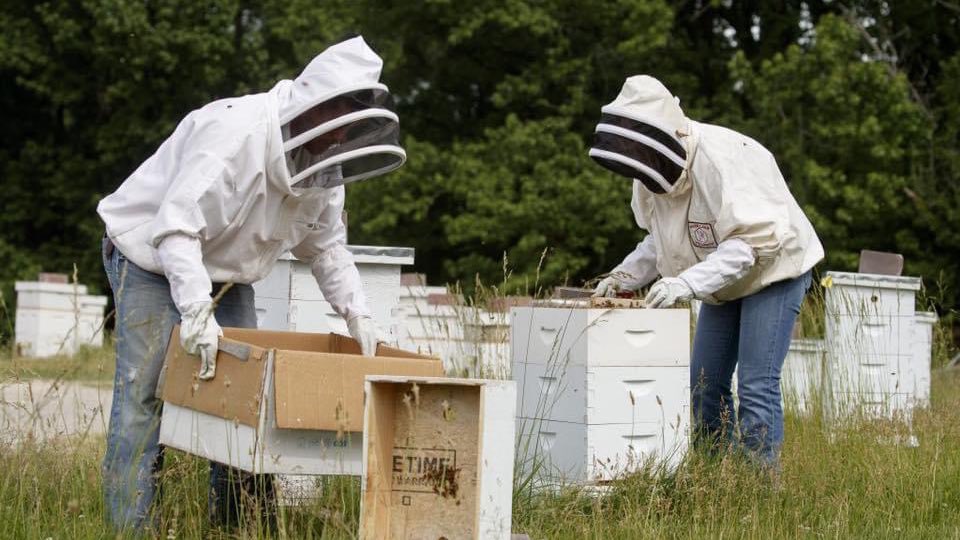 Happy World Bee Day!  Beekeeping is one of the topics covered in the Agriculture major at the University of Tennessee at Martin.  utm.edu. Growing the Future!  #BeeDay