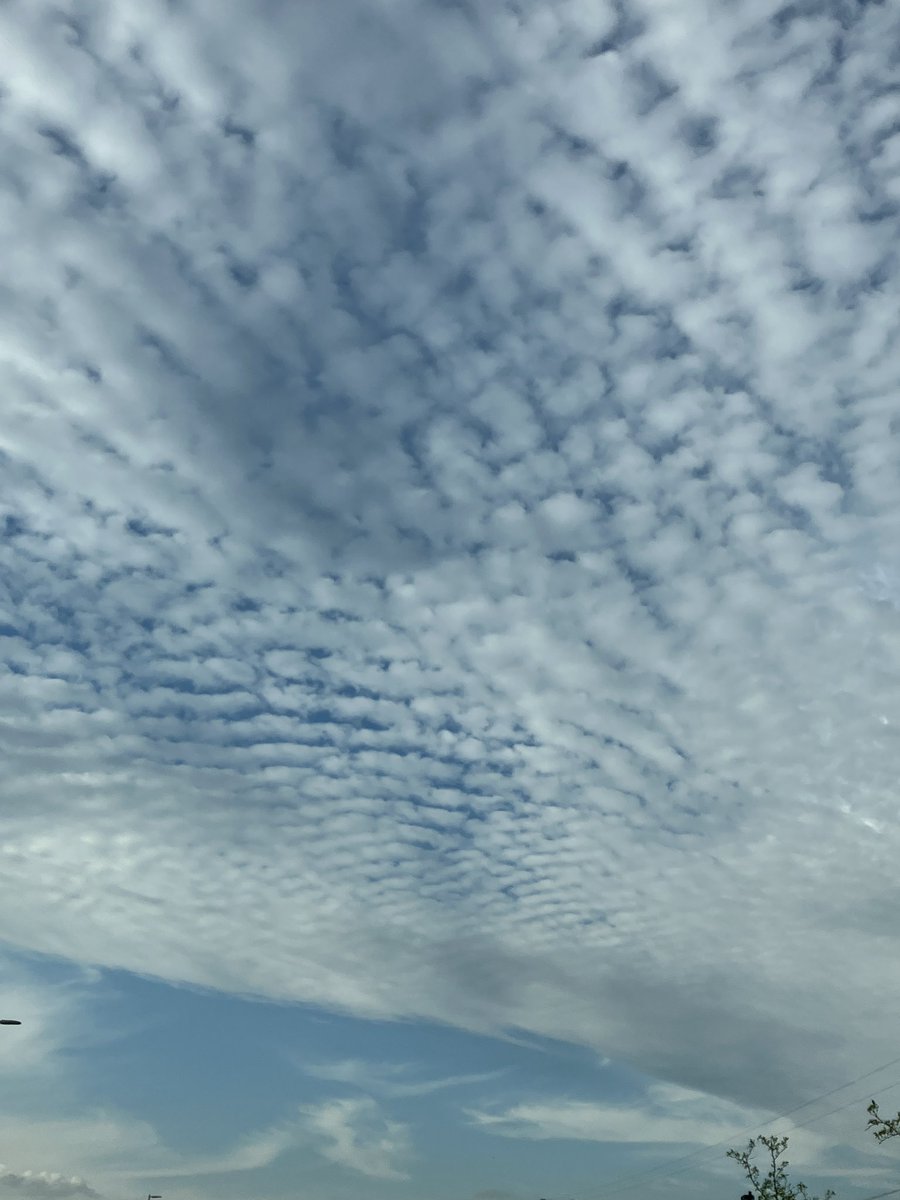 MAgent_42's tweet photo. They cranked up the 5G #HAARP frequency today!! Those don’t look like #normalClouds @Real1FisherMan Fargo ND 5/20/24 #wakeUp #lookUp
#NotCondensation
#StratosphericAerosolinjection
#GeoEngineering #CrimesAgainstHumanity https://t.co/SxVCiXKQ0Z https://t.co/T5eoLJBgMF