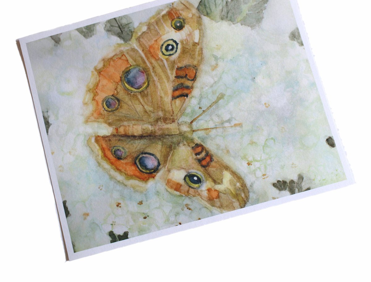 Common Buckeye Butterfly Watercolor Art Print
#buckeye #butterfly #watercolor #artprint #SMILEtt23 #shopsmall #supportsmallbusiness #homedesign #wallart #summerrefresh #updateyourspace #SycamoreWoodStudio 

sycamorewoodstudio.etsy.com/listing/653022…