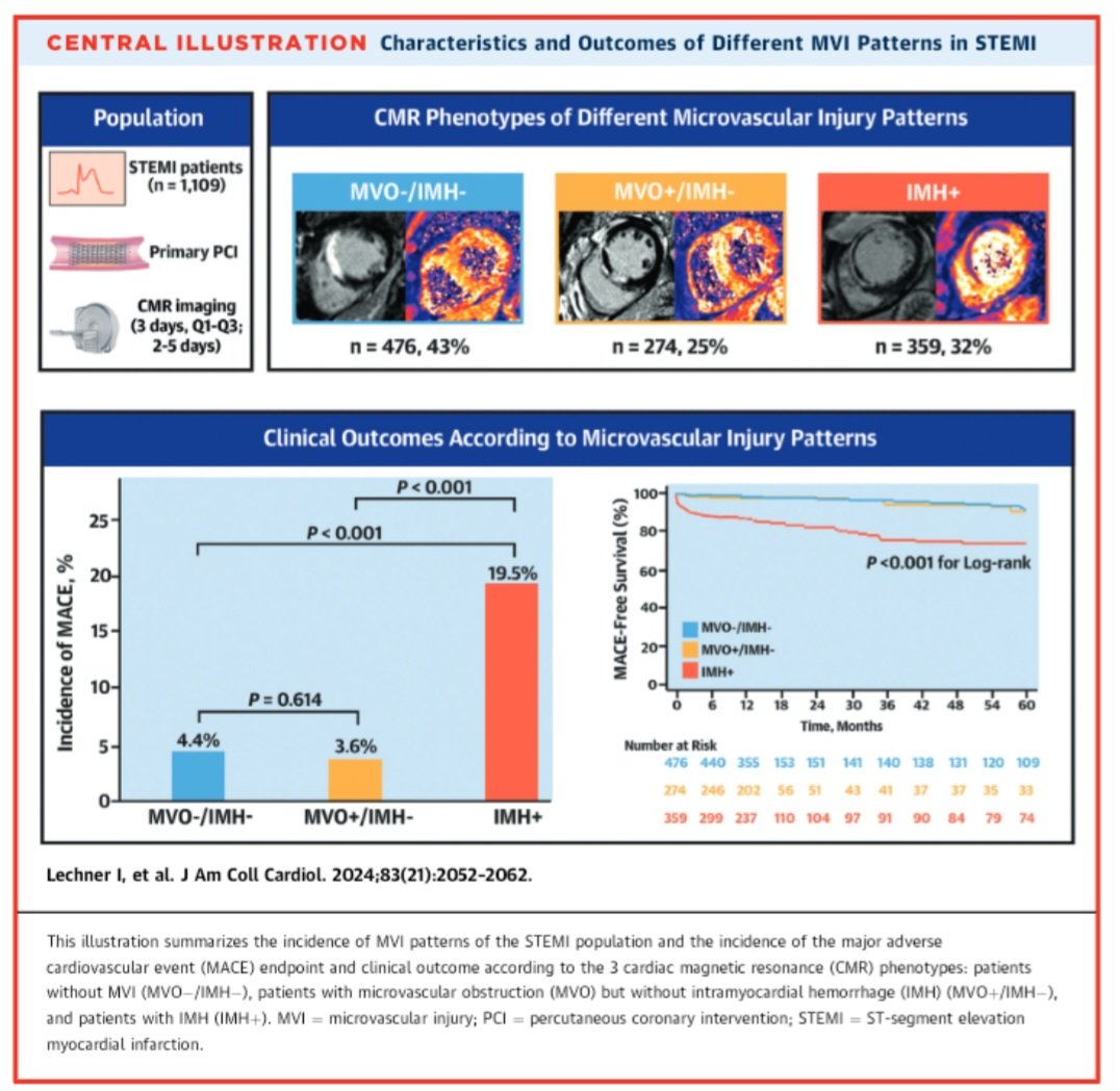 Our #whyCMR paper in @JACCJournals shows that reperfused STEMI with intramyocardial hemorrhage (IMH) have a much higher risk of MACE than STEMI with MVO but not IMH. IMH=key culprit driving MACE post-MI. @lechner_i @imed_tweets jacc.org/doi/10.1016/j.…