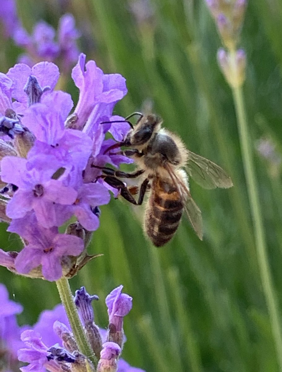 Rob Stuart tweet media