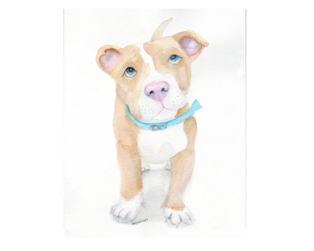 Original Watercolor Painting : Puppy Find this cute painting in my #goimagine shop! #doglover #pitbull #PuppyOfTheDay #watercolorpainting #wallartforsale #homedecoration #kiddecor #nurseryart #shopsmall #supportsmallbusiness #SMILEtt23 goimagine.com/pit-bull-puppy…