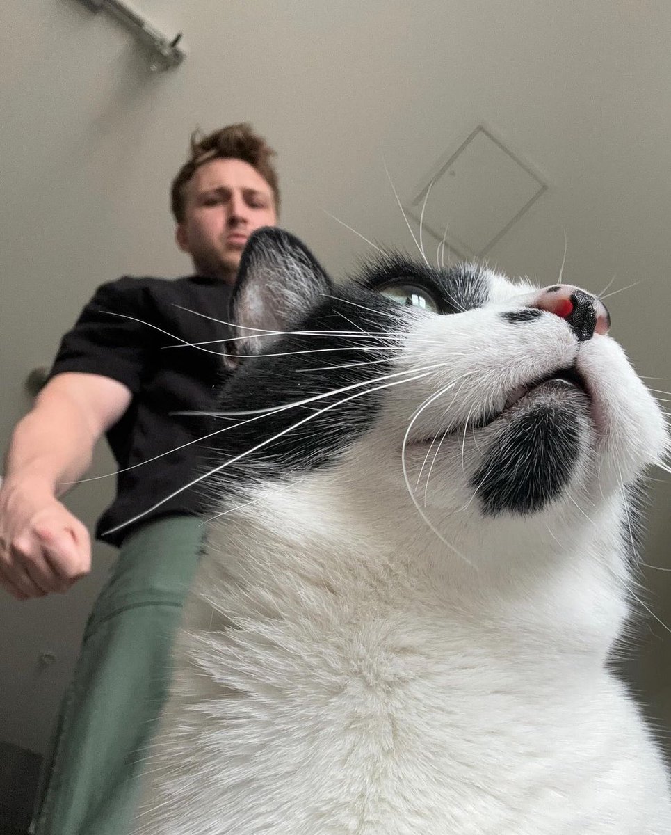 “babe can you come take a pic of me and the cat so i can ruin the people of smoshtwt”