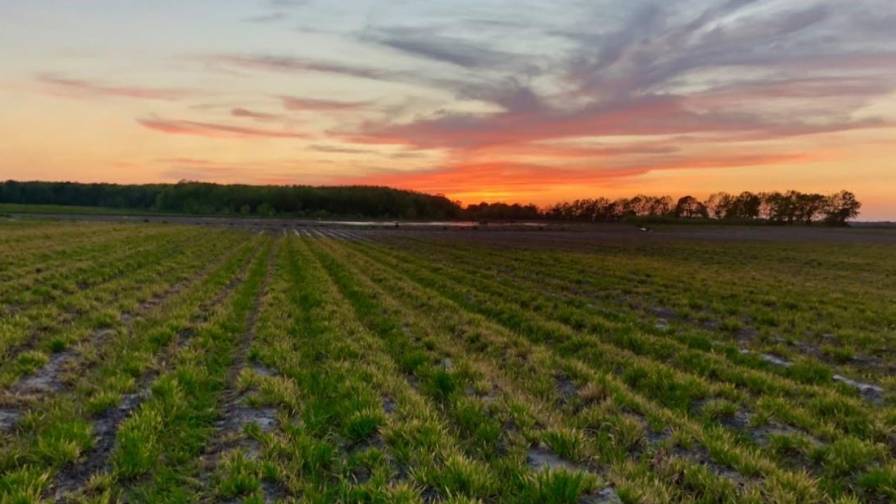 TFI: Bipartisan House Farm Bill Supports Nutrient Stewardship, Conservation Practices dlvr.it/T78jhy