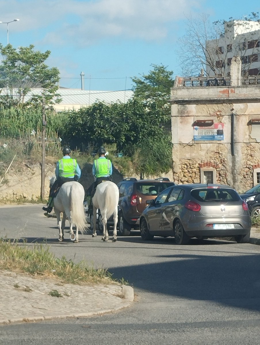 FredSaragoca's tweet photo. Hoje cruzei-me com dois cavaleiros e sempre me perguntei qual a vantagem de policiar uma cidade a cavalo. Alguém sabe? A minha teoria é que isto é uma espécie de terapia obrigatória por lei. Deve ser incrivelmente relaxante https://t.co/gjB6gjgppe