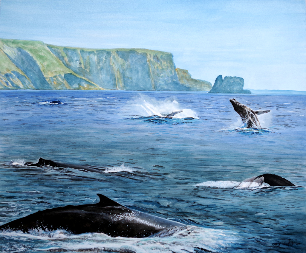 Christopher Kovacs (@cskovacs) on Twitter photo “There Be Whales Here!” is my newest watercolor painting, a scene from St. Vincent’s Beach in #Newfoundland. (Spot the #StarTrek allusion?)
christopherkovacs.com/portfolio/ther…
<a href="/NLtweets/">NewfoundlandLabrador</a>
<a href="/CBCNL/">CBC Newfoundland and Labrador</a>
@Canadapaintings “There Be Whales Here!” is my newest watercolor painting, a scene from St. Vincent’s Beach in #Newfoundland. (Spot the #StarTrek allusion?)
christopherkovacs.com/portfolio/ther…
<a href="/NLtweets/">NewfoundlandLabrador</a>
<a href="/CBCNL/">CBC Newfoundland and Labrador</a>
@Canadapaintings