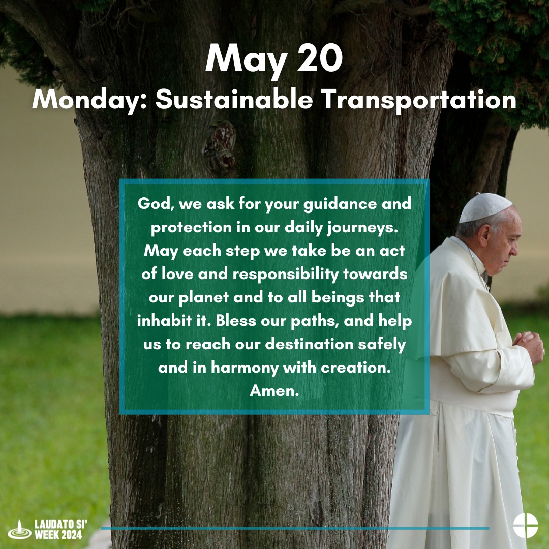 We celebrate the Holy Father's release of Laudato Si, and the focus on our precious planet that it has created for our Church. #LaudatoSiWeek2024