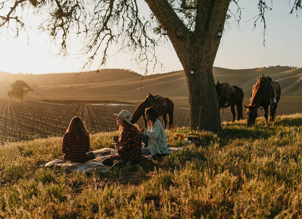 Paso Robles Wine and Travel Paso are excited to announce the return of Savor Paso in San Jose! Enjoy Paso Robles wineries, breweries, distilleries, and more in the iconic San Jose Earthquakes stadium - PayPal Park - on Thursday, June 13 from 5:30-8 p.m. 🎟️ pasowine.com/events/savor-p…