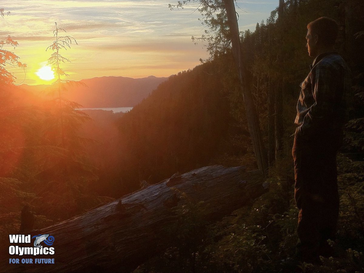 Great <a href="/joelconnelly/">joel r. connelly</a> piece on 3X Anniversaries of #Wilderness Act, urging Congress mark a 4th by passing #WildOlympics in 2024: “The latest cause is Wild Olympics. <a href="/RepDerekKilmer/">Rep. Derek Kilmer</a> (passed it twice) but Senate has yet to act.” <a href="/PattyMurray/">Senator Patty Murray</a> <a href="/SenatorCantwell/">Sen. Maria Cantwell</a> tinyurl.com/ycyxtw3r