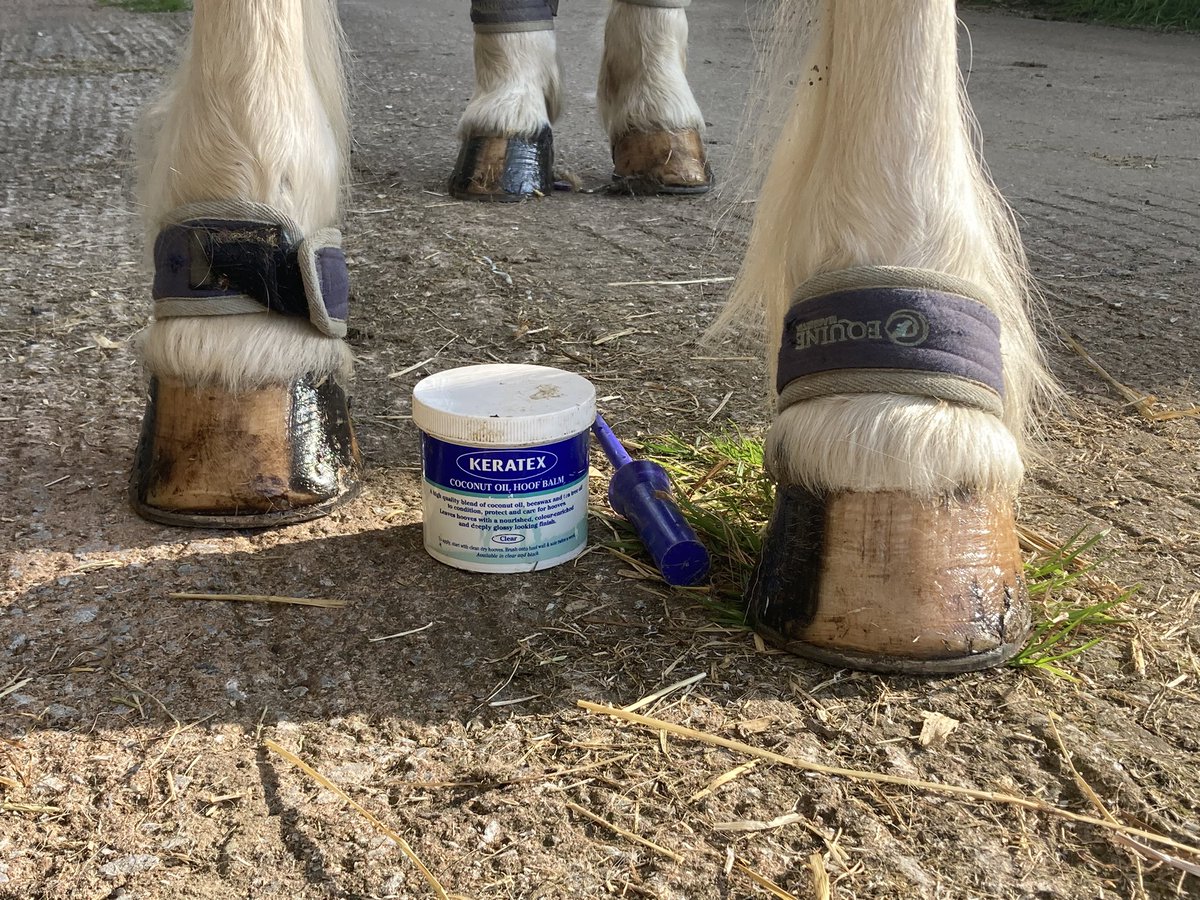 Used the <a href="/KeratexHoofcare/">Keratex Hoofcare</a> Coconut 🥥 Hoof Balm today on Tess. It really moisturises her hooves and doesn’t come off due to the beeswax 🐝 . Plus it smells AMAZING.