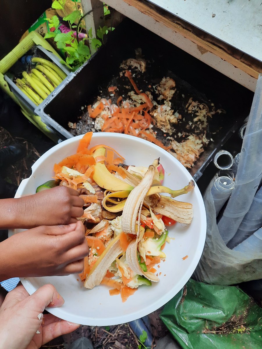 Pascale Vassie 🧡💙 tweet media