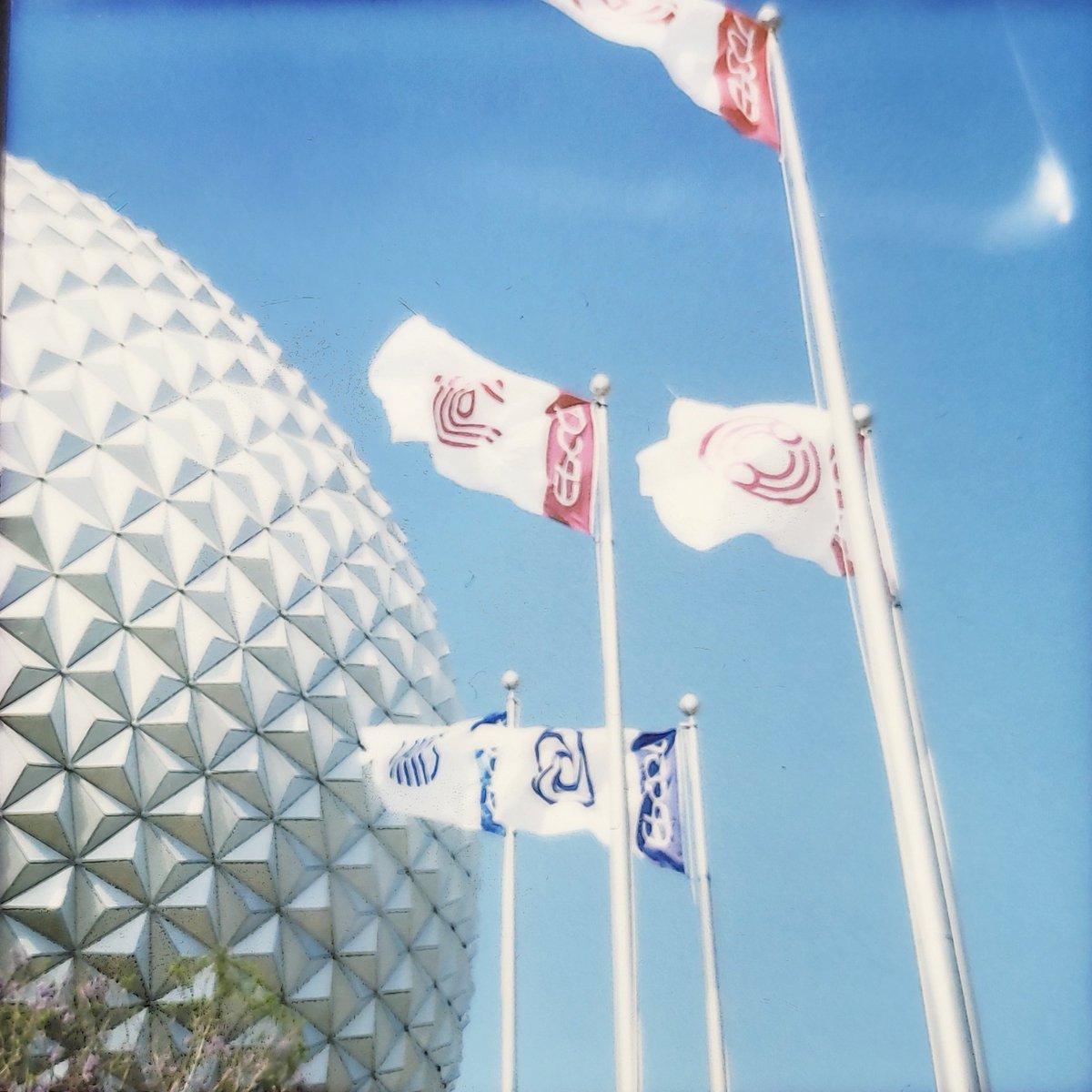 Gaige_404's tweet photo. Here's a couple of shots of my Lomoinstant square. I just scanned them with my phone. But I hope you all enjoy, it was so fun.

#photography #instantphotography #lomography #disneyworld #landscapephotography #magickingdom #epcotflowerandgardenfestival #epcot #hollwoodstudios https://t.co/0FxJVasAfS