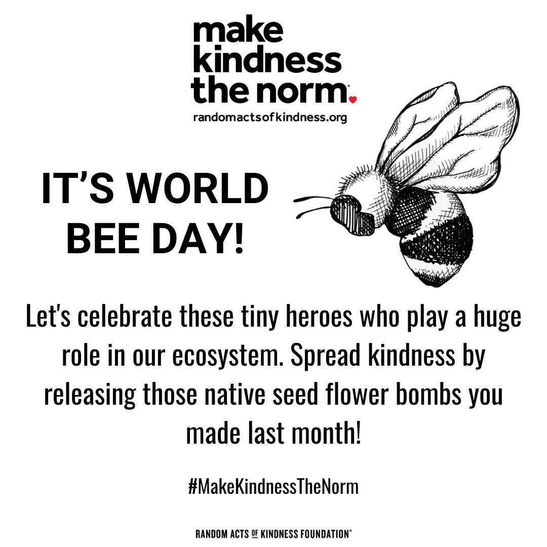 Today is World Bee Day! Celebrate by releasing those native flower seed bombs we made last month. 🐝🌻🌷🌼